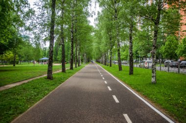Şehir Parkı, yeşil ağaçların üzerinden yol