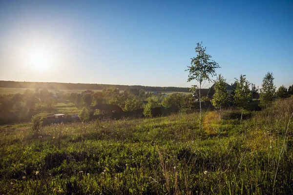 Eco Green Sunny Country Landscape Trees Clouds — Stock Photo, Image