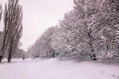 Kış yolu manzarası