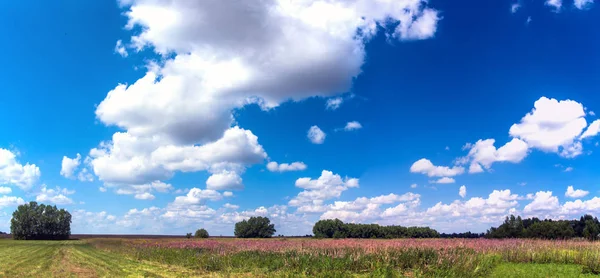 Landscape with perfect sky — Stock Photo, Image