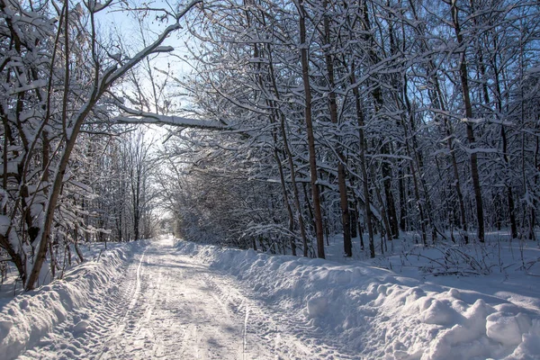 Camino de invierno paisaje — Foto de Stock