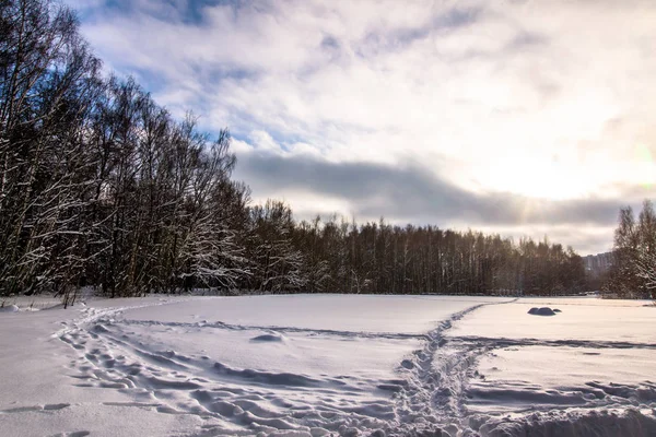 Bosque de invierno paisaje — Foto de Stock