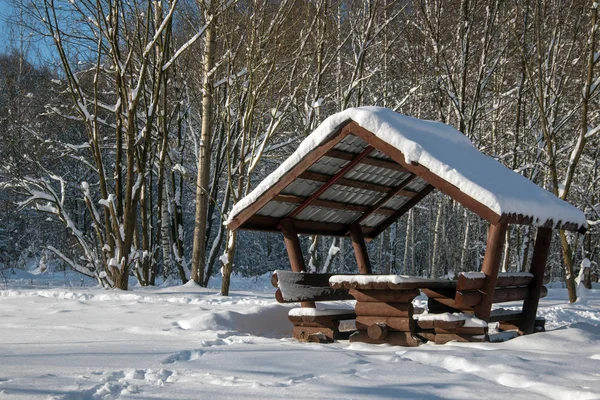 おとぎ話冬の森の木の庭の家 — ストック写真