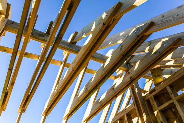 строительство каркасного дома. домостроение. строительная промышленность
