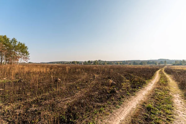 Morning Landscape Long Summer Country Road — Stock Photo, Image