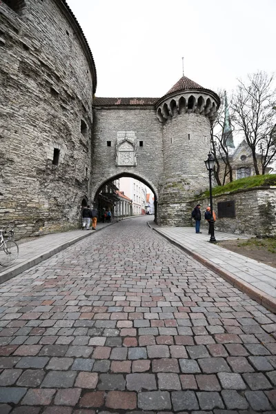 Tallinn Estonie Novembre 2018 Centre Historique Vieille Ville Vanalinn — Photo