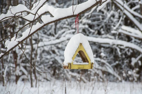 Empty Bird wooden feeder in winter forest