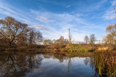 Nehir ve ormanlı manzara