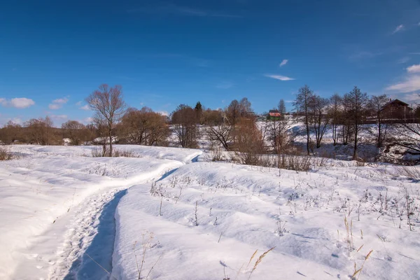 Bosque de invierno paisaje — Foto de Stock