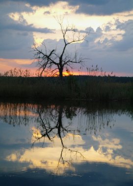 Nehirde ile erken akşam saat manzara.