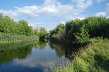 Nehir, ağaçlarla ve bulutlu gökyüzüyle kara.