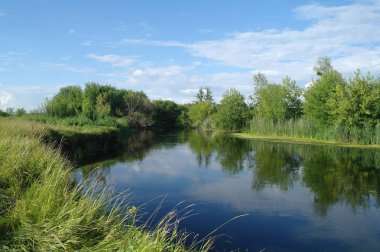 Nehir, ağaçlarla ve bulutlu gökyüzüyle kara.