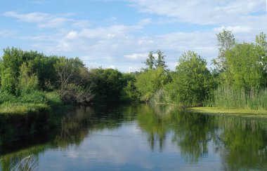 Nehir, ağaçlarla ve bulutlu gökyüzüyle kara.