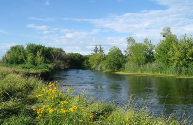 Nehir, ağaçlarla ve bulutlu gökyüzüyle kara.