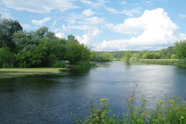 River, land with trees and cloudy sky.