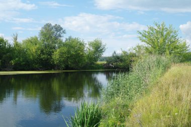 Nehir, ağaçlarla ve bulutlu gökyüzüyle kara