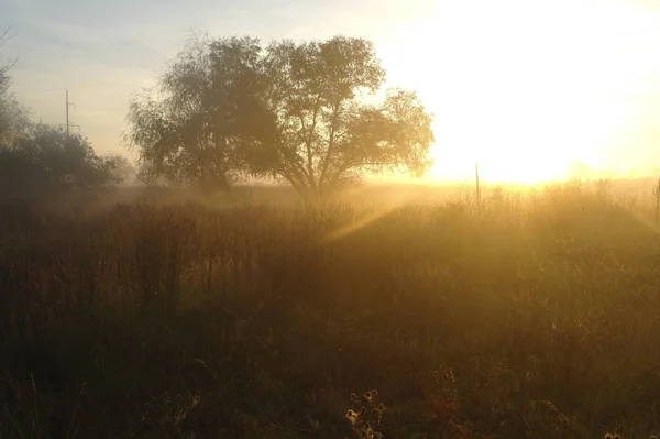 Névoa da manhã no outono natureza, luz do nascer do sol laranja no fundo — Fotografia de Stock