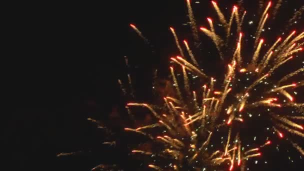 Tűzijáték éjszakai égbolton — Stock videók
