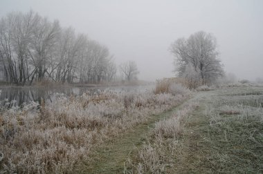 Kış nehir, doğa kompozisyon.