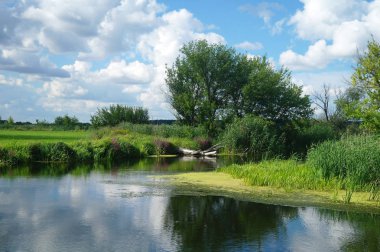 Nehir, ağaçlarla ve bulutlu gökyüzüyle kara