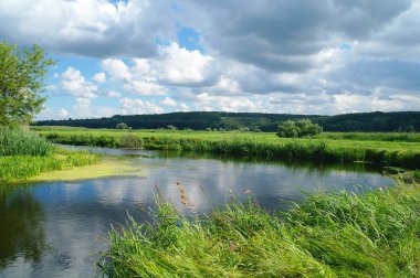 Nehir, ağaçlarla ve bulutlu gökyüzüyle kara