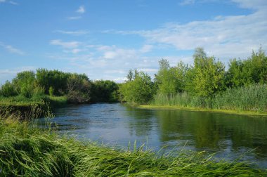 Nehir, ağaçlarla ve bulutlu gökyüzüyle kara