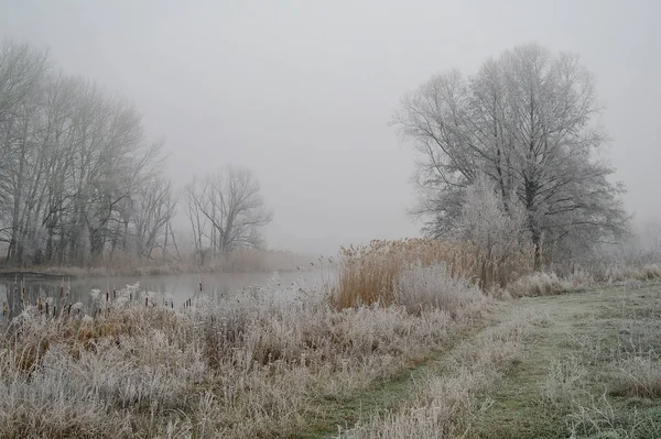 Winter Des Flusses Zusammensetzung Der Natur — Stockfoto