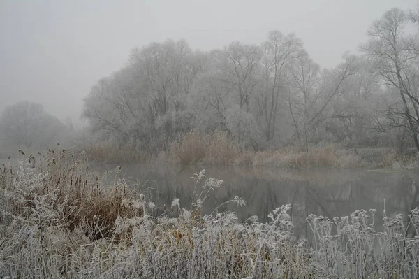 Winter Des Flusses Zusammensetzung Der Natur — Stockfoto