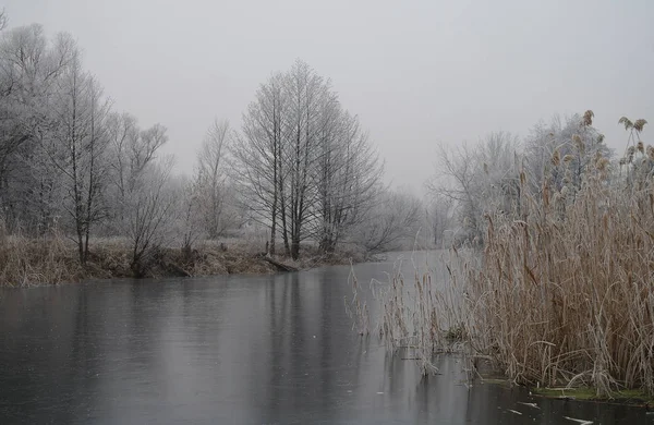 Winter Des Flusses — Stockfoto