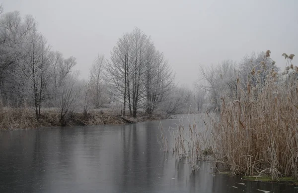 Invierno Del Río — Foto de Stock