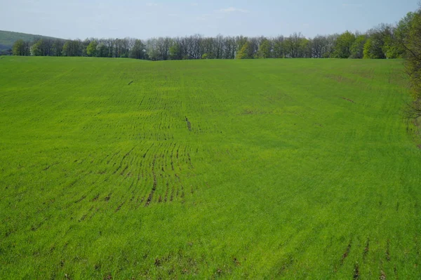 Lente Komt Naar Het Land — Stockfoto