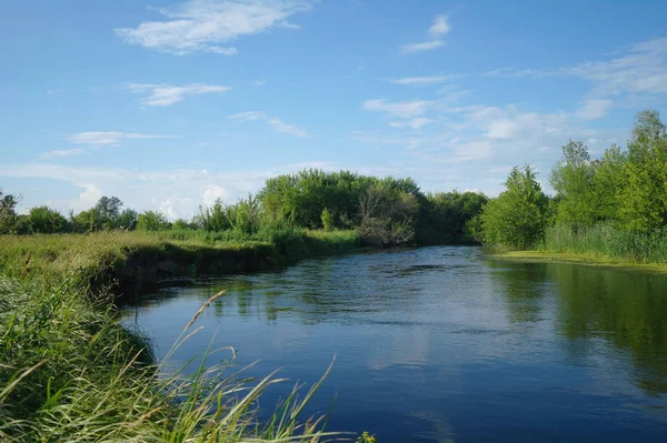 Rivier, land met bomen en bewolkte lucht — Stockfoto