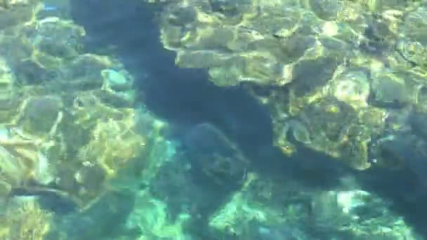 Bild av blå vatten bakgrunden blå havet vatten och havet vågor i den tropiska revet i Röda havet, Egypten — Stockvideo