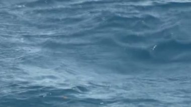 mavi deniz okyanus dalgaları su hareketi arka planda güneş ışığı güneşli gün görünümünü yüzey, doğa ve barış kavramı
