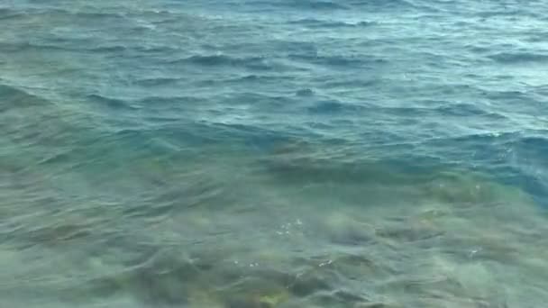 蓝色海浪水运动背景的看法在阳光天与太阳光在表面, 自然和和平概念 — 图库视频影像
