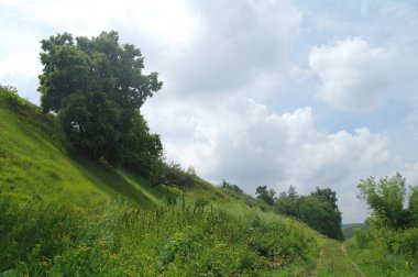 Dağlarda pastoral bahar peyzaj