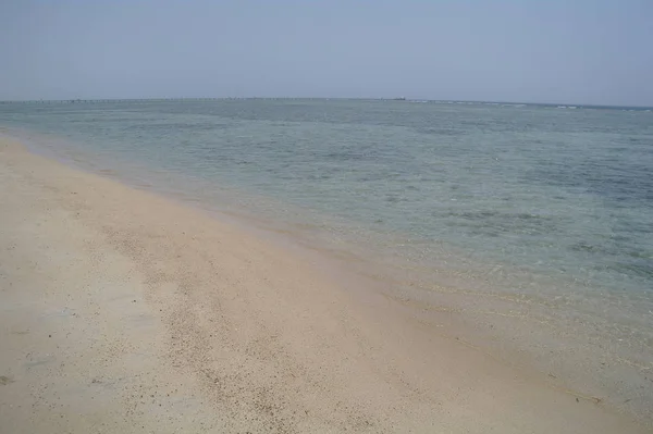 Bir plaj sahil, red sea, Mısır — Stok fotoğraf
