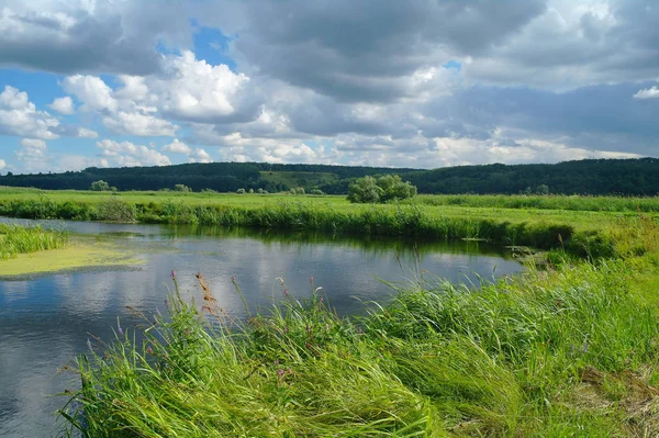 Říční krajina a dřevo — Stock fotografie