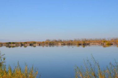 Bu resmi bir riverside açık gökyüzü ve taş shore ile gösterir