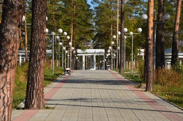 Esta Imagem Mostra Caminho Parque — Fotografia de Stock