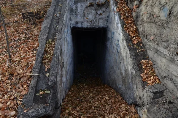 Picture Shows Mysterious Entrance Downstairs — Stock Photo, Image