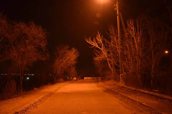 Camino Nocturno Otoño — Foto de Stock