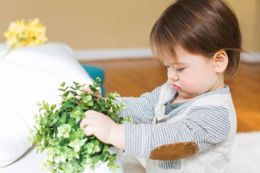 Çiçeklerle oynarken mutlu yürümeye başlayan çocuk