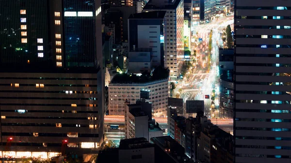 Tokyo, Japonya 'nın hava manzarası — Stok fotoğraf