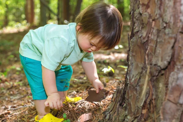 Toddler chłopiec gra w lesie — Zdjęcie stockowe