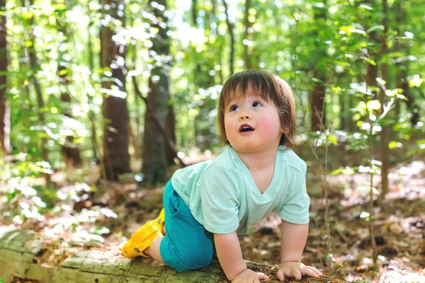 Niño Pequeño Jugando Bosque —  Fotos de Stock