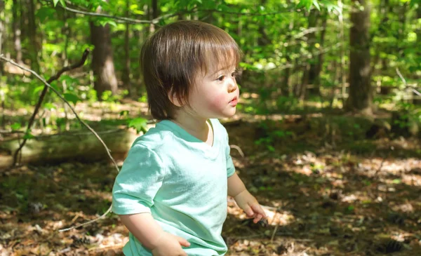 Toddler chłopiec gra w lesie — Zdjęcie stockowe