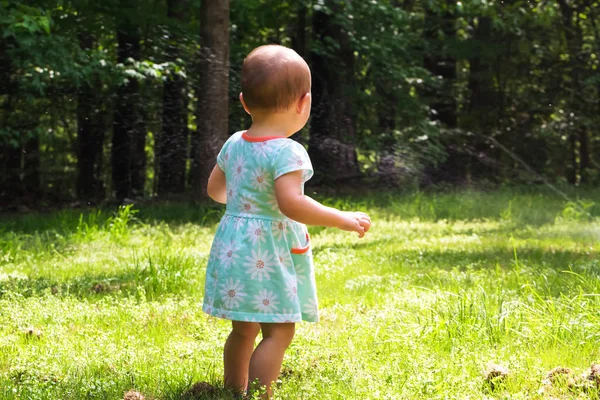 Dışında oynarken küçük yürümeye başlayan çocuk kız — Stok fotoğraf