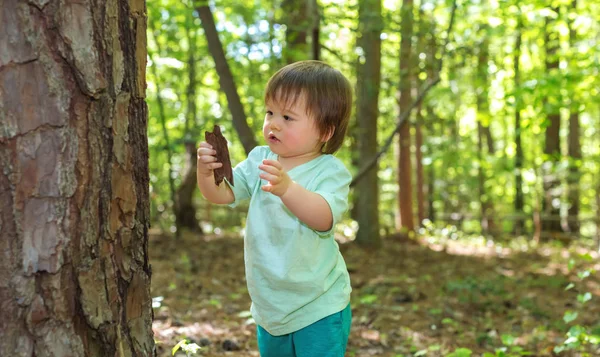 Toddler chłopiec gra w lesie — Zdjęcie stockowe