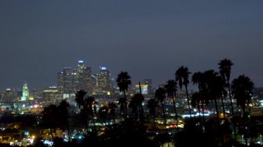 Palmiye ağaçları ile gece şehir Los Angeles
